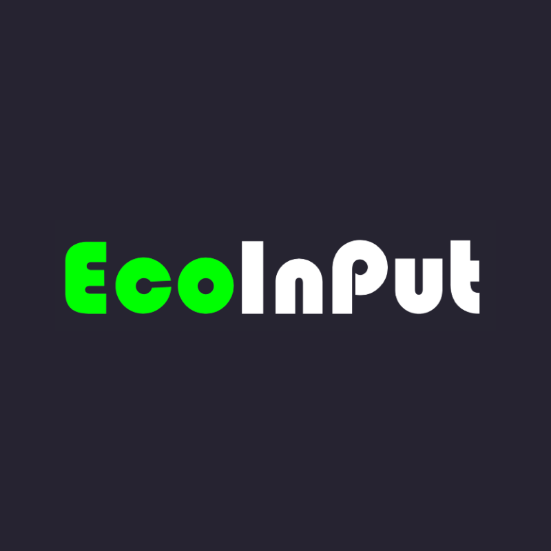 Ecoinput, Agencia Digital Partner de Shopify y Klaviyo en Chile